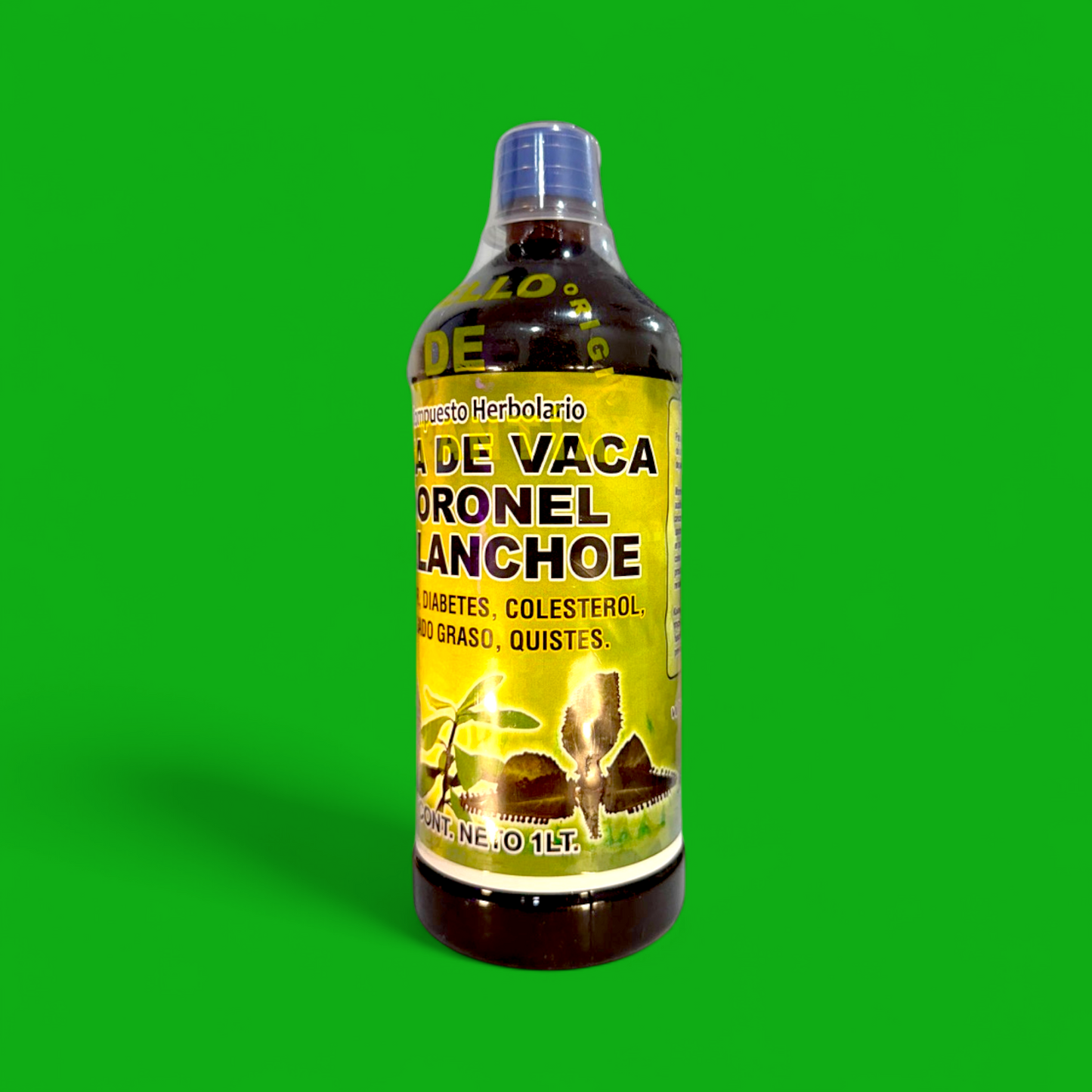 PATA DE VACA MORONEL KALANCHOE 1LT (C&A)